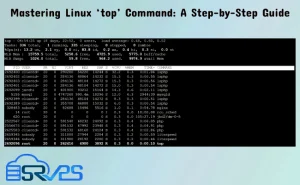 Mastering Linux ‘top’ Command